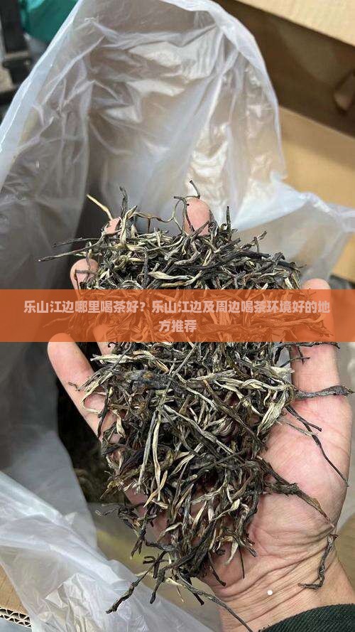 乐山江边哪里喝茶好？乐山江边及周边喝茶环境好的地方推荐