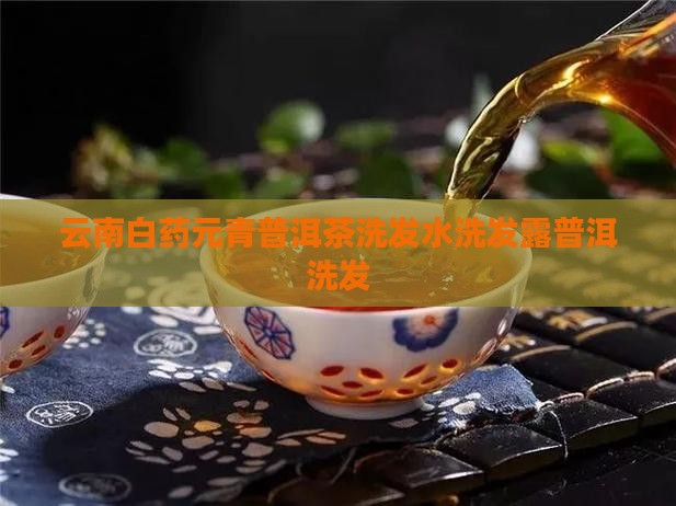 云南白药元青普洱茶洗发水洗发露普洱洗发