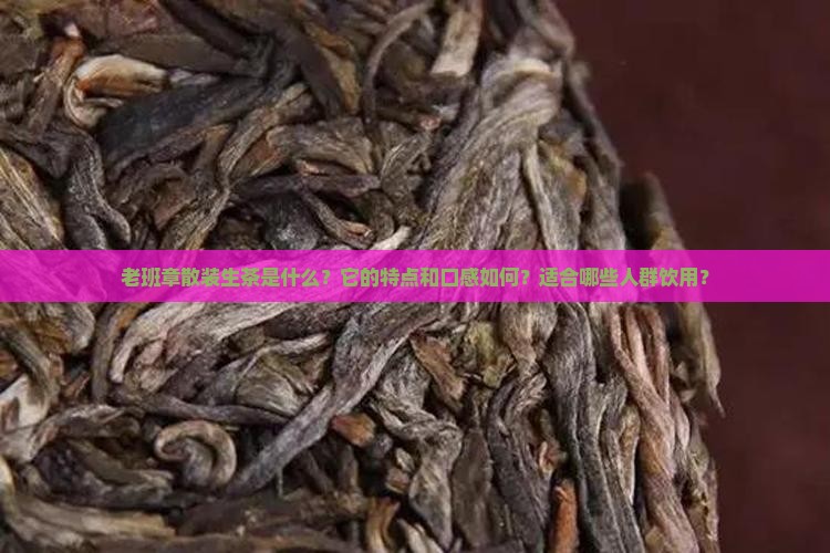 老班章散装生茶是什么？它的特点和口感如何？适合哪些人群饮用？