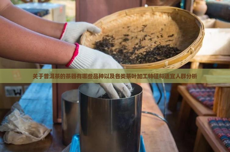 关于普洱茶的茶器有哪些品种以及各类茶叶加工特征与适宜人群分析