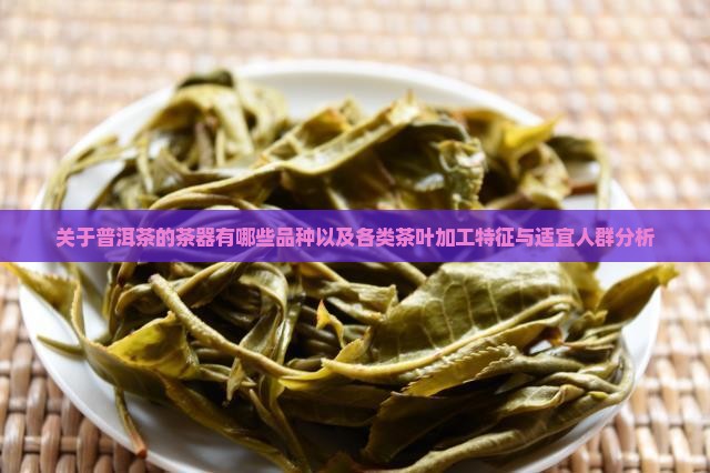 关于普洱茶的茶器有哪些品种以及各类茶叶加工特征与适宜人群分析