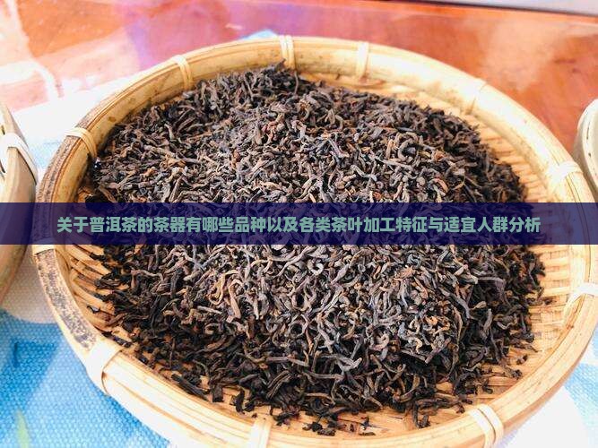关于普洱茶的茶器有哪些品种以及各类茶叶加工特征与适宜人群分析