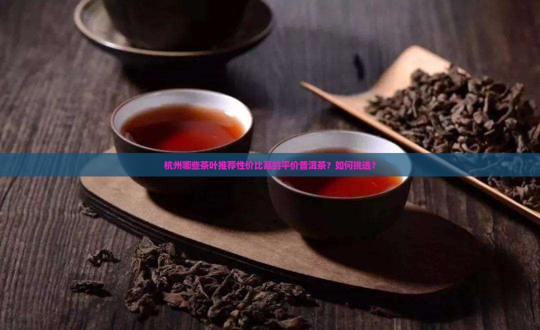 杭州哪些茶叶推荐性价比高的平价普洱茶？如何挑选？