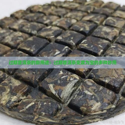 过期普洱茶的新用途：过期普洱茶变废为宝的多种妙用