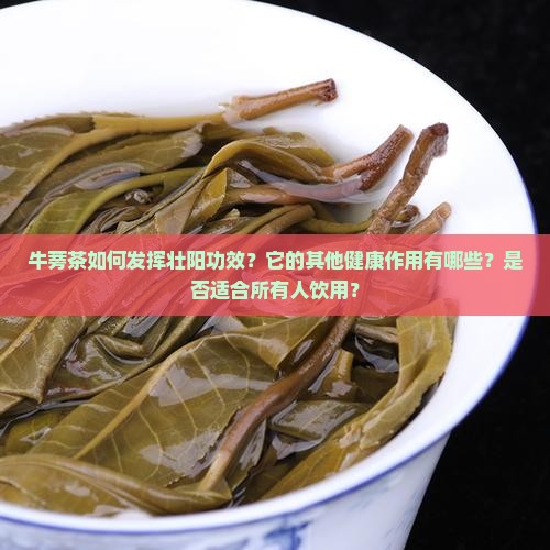 牛蒡茶如何发挥壮阳功效？它的其他健康作用有哪些？是否适合所有人饮用？