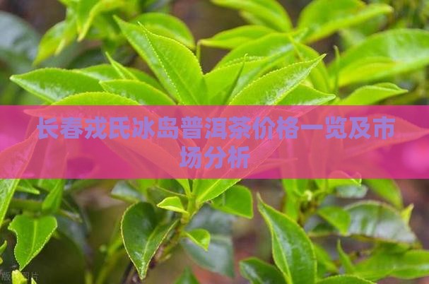 长春戎氏冰岛普洱茶价格一览及市场分析