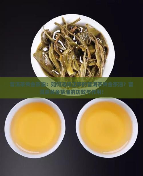 普洱茶黄金茶油：如何选择正宗的普洱茶黄金茶油？普洱茶黄金茶油的功效与作用！
