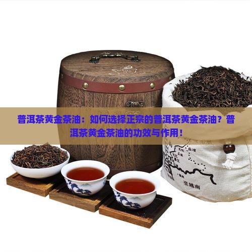 普洱茶黄金茶油：如何选择正宗的普洱茶黄金茶油？普洱茶黄金茶油的功效与作用！