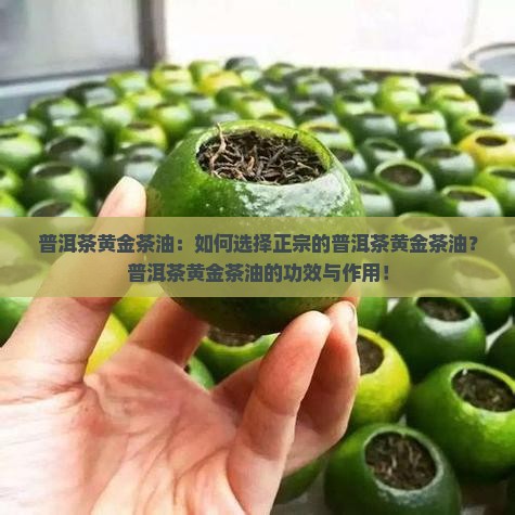 普洱茶黄金茶油：如何选择正宗的普洱茶黄金茶油？普洱茶黄金茶油的功效与作用！