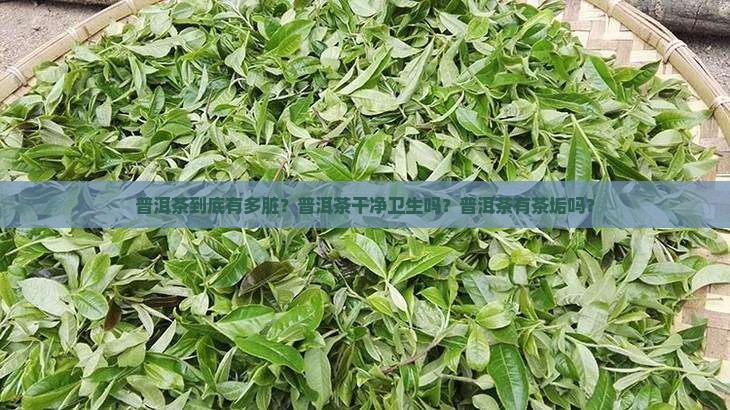 普洱茶到底有多脏？普洱茶干净卫生吗？普洱茶有茶垢吗？
