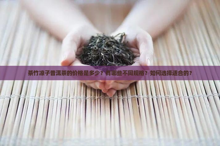 茶竹凉子普洱茶的价格是多少？有哪些不同规格？如何选择适合的？
