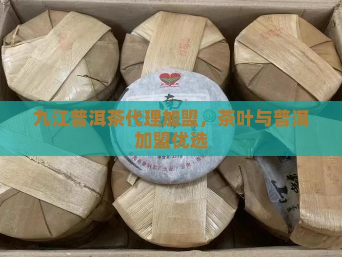九江普洱茶代理加盟，茶叶与普洱加盟优选
