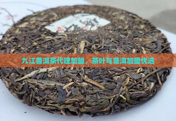 九江普洱茶代理加盟，茶叶与普洱加盟优选