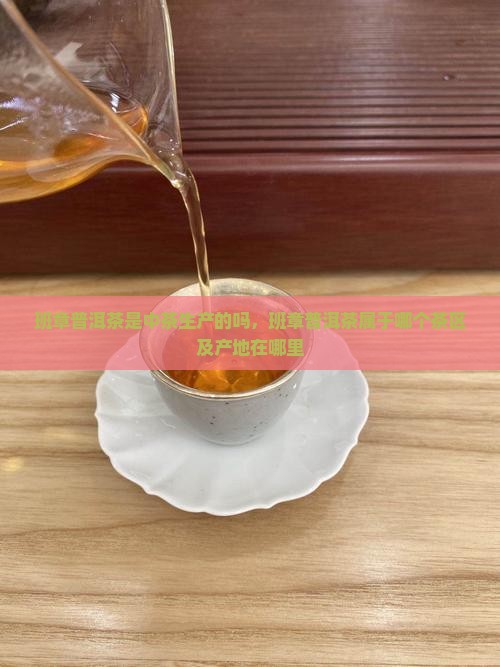 班章普洱茶是中茶生产的吗，班章普洱茶属于哪个茶区及产地在哪里