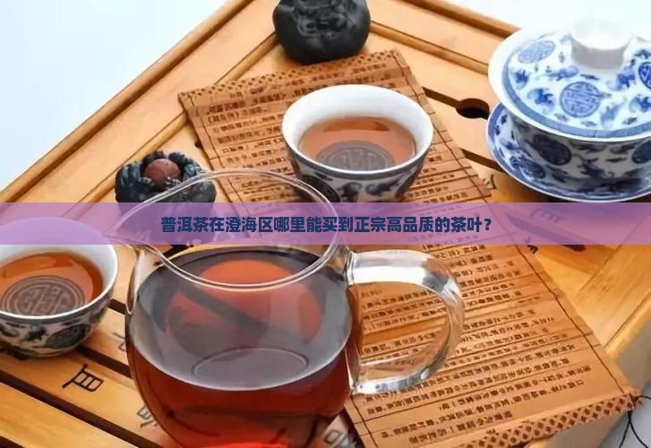 普洱茶在澄海区哪里能买到正宗高品质的茶叶？