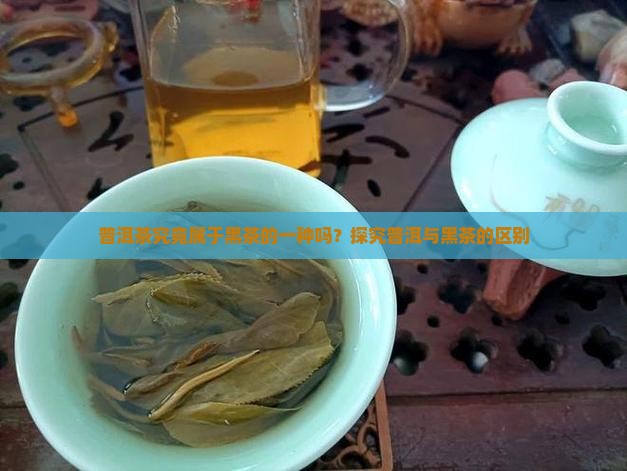 普洱茶究竟属于黑茶的一种吗？探究普洱与黑茶的区别