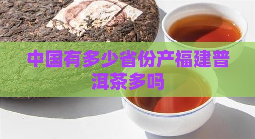 中国有多少省份产福建普洱茶多吗