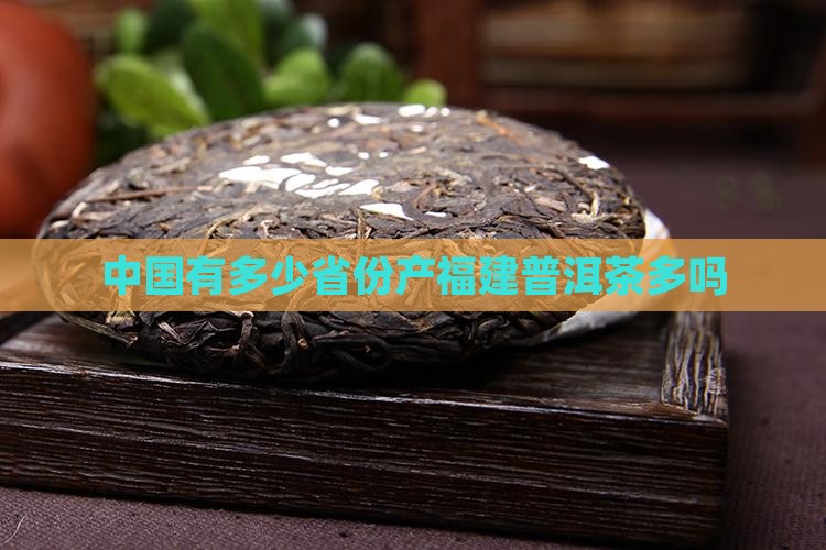 中国有多少省份产福建普洱茶多吗