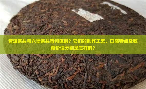 普洱茶头与六堡茶头有何区别？它们的制作工艺、口感特点及收藏价值分别是怎样的？