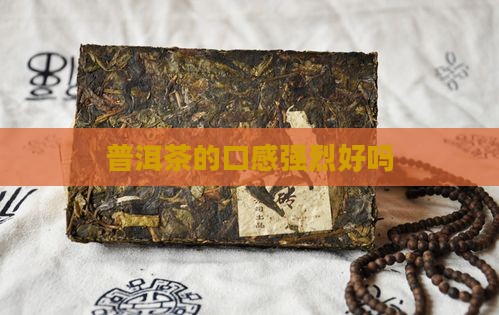 普洱茶的口感强烈好吗