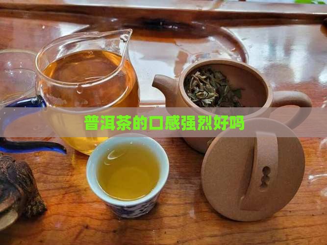 普洱茶的口感强烈好吗