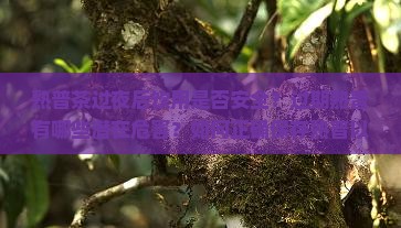 熟普茶过夜后饮用是否安全？过期熟普有哪些潜在危害？如何正确保存熟普以延长保质期？