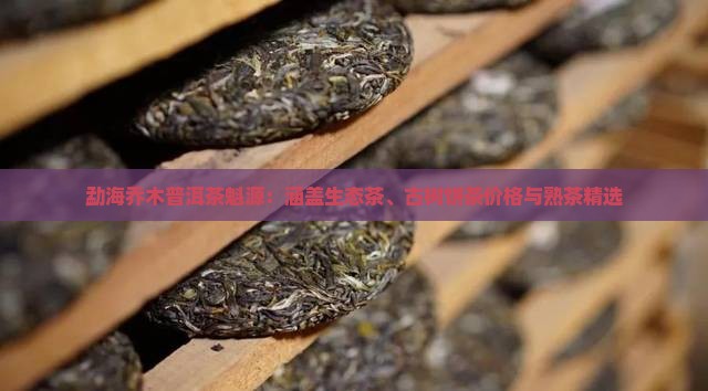 勐海乔木普洱茶魁源：涵盖生态茶、古树饼茶价格与熟茶精选