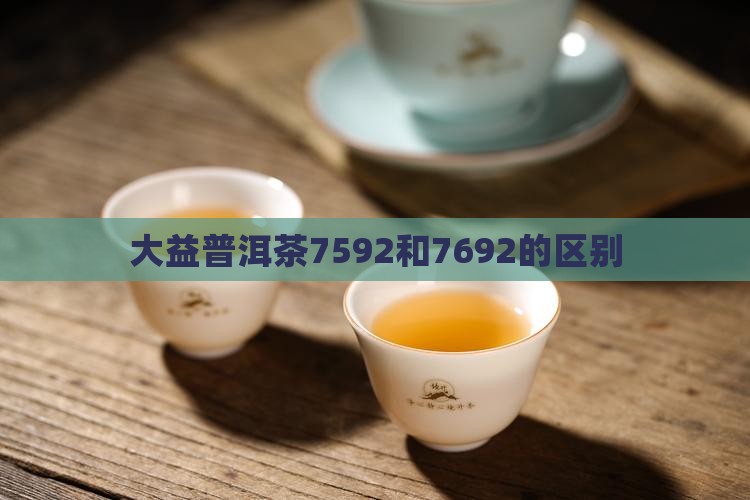 大益普洱茶7592和7692的区别