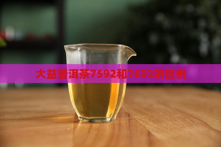 大益普洱茶7592和7692的区别