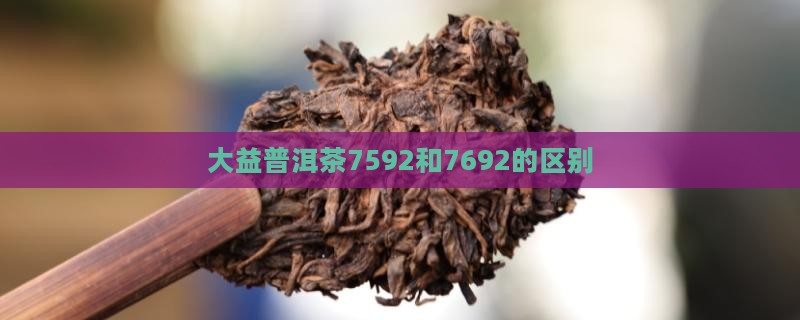 大益普洱茶7592和7692的区别