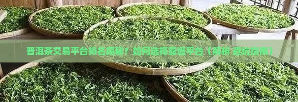普洱茶交易平台排名