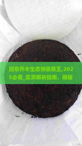 班章乔木生态饼茶茶王