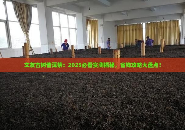 文友古树普洱茶