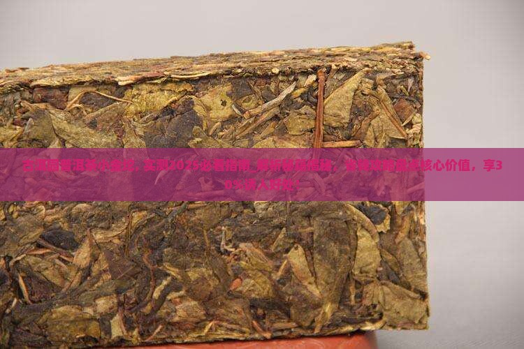 古洱园普洱茶小金坨