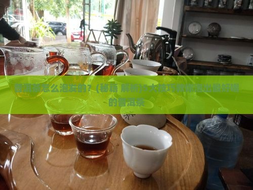 普洱茶怎么泡发的
