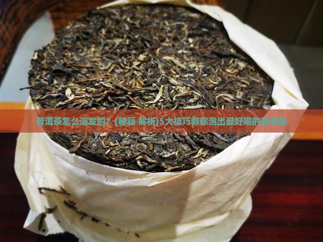 普洱茶怎么泡发的