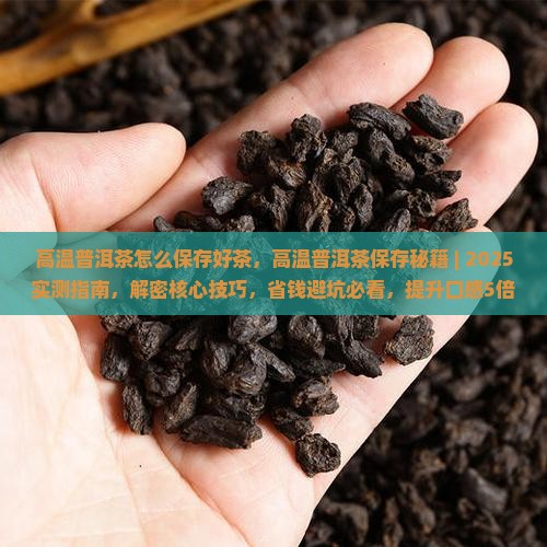 高温普洱茶怎么保存好茶