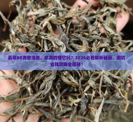 翡翠88青普洱茶
