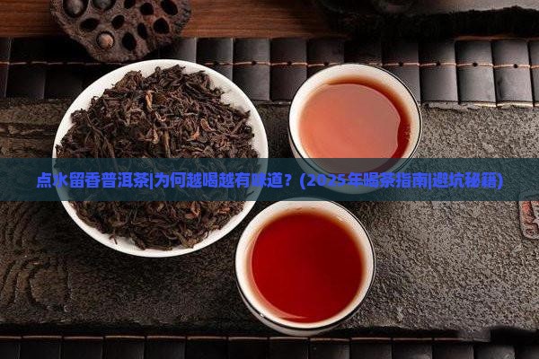 点水留香普洱茶 点水留香普洱茶