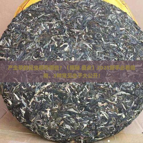产虫茶的昆虫主要有