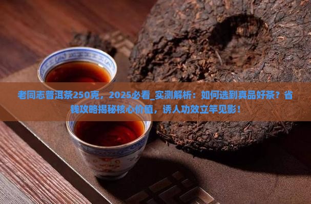 老同志普洱茶250克 老同志普洱茶250克
