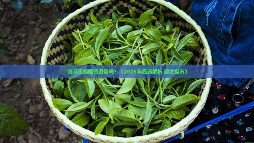 咳嗽还嫩喝普洱茶吗