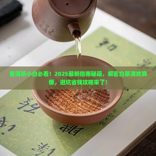 普洱茶知识白茶清欢无别事