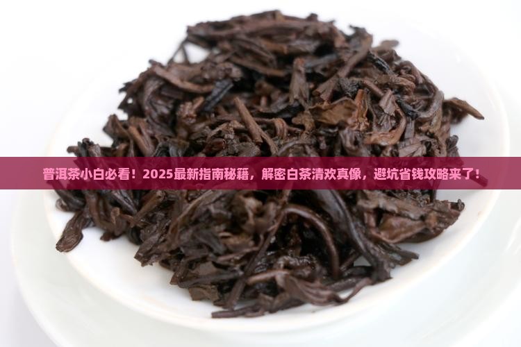 普洱茶知识白茶清欢无别事