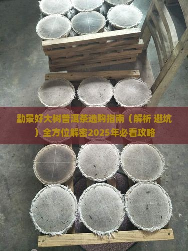 勐景好大树普洱茶 勐景好大树普洱茶