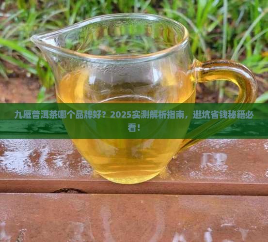九雁普洱茶哪个品牌好 九雁普洱茶哪个品牌好
