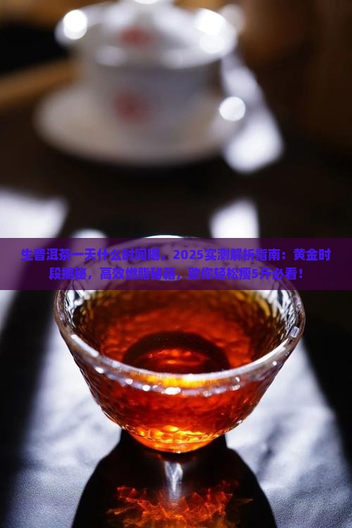 生普洱茶一天什么时间喝