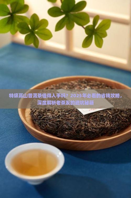 特级高山普洱茶