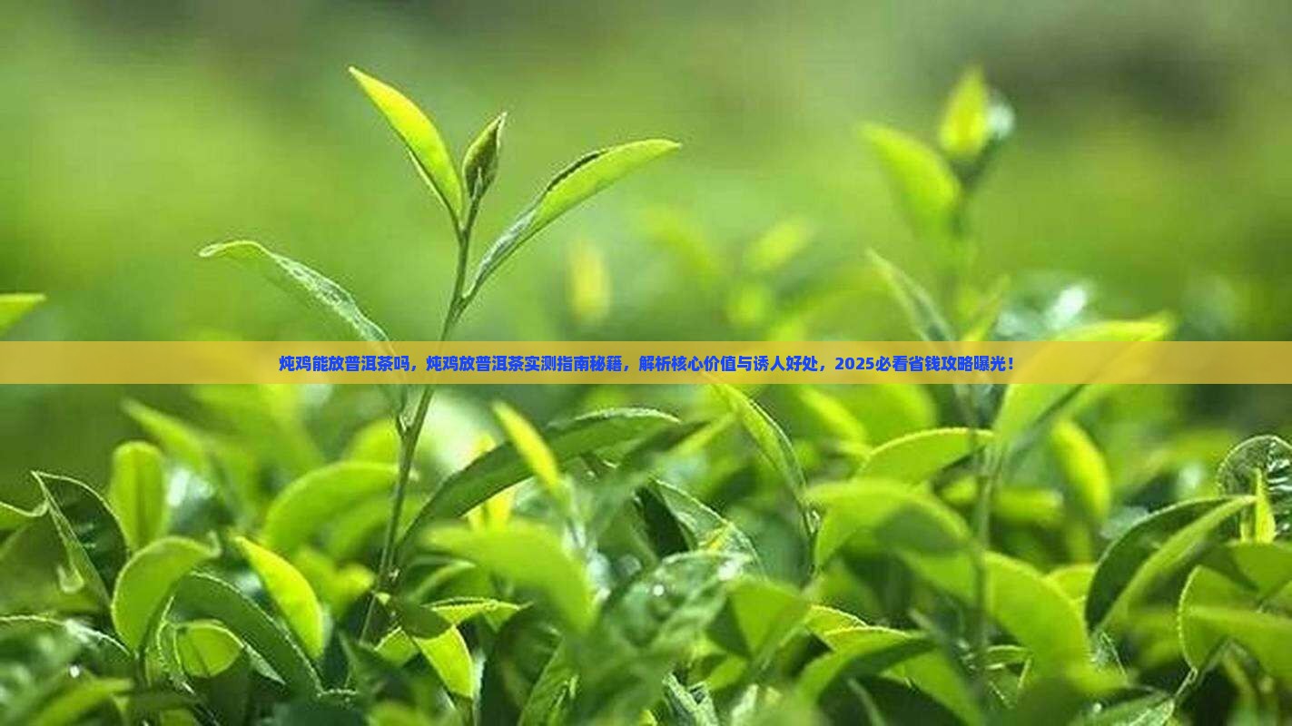 炖鸡能放普洱茶吗