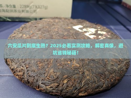 六安瓜片是生茶还是熟茶